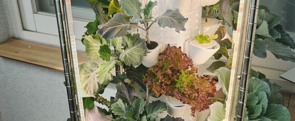 수직 타워형 수경재배기에서 식물이 자라는 모습