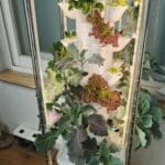 수직 타워형 수경재배기에서 식물이 자라는 모습