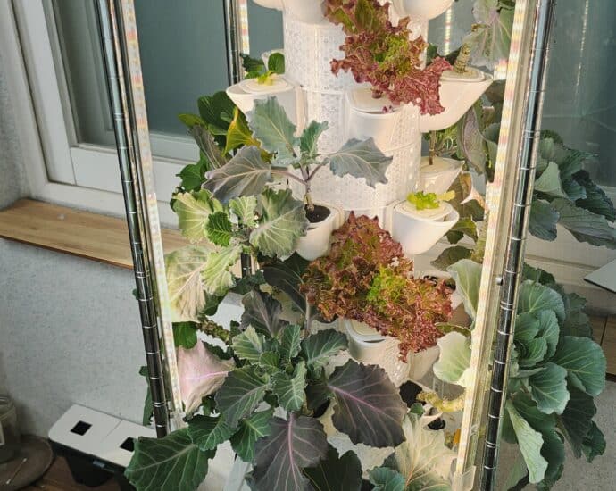 수직 타워형 수경재배기에서 식물이 자라는 모습