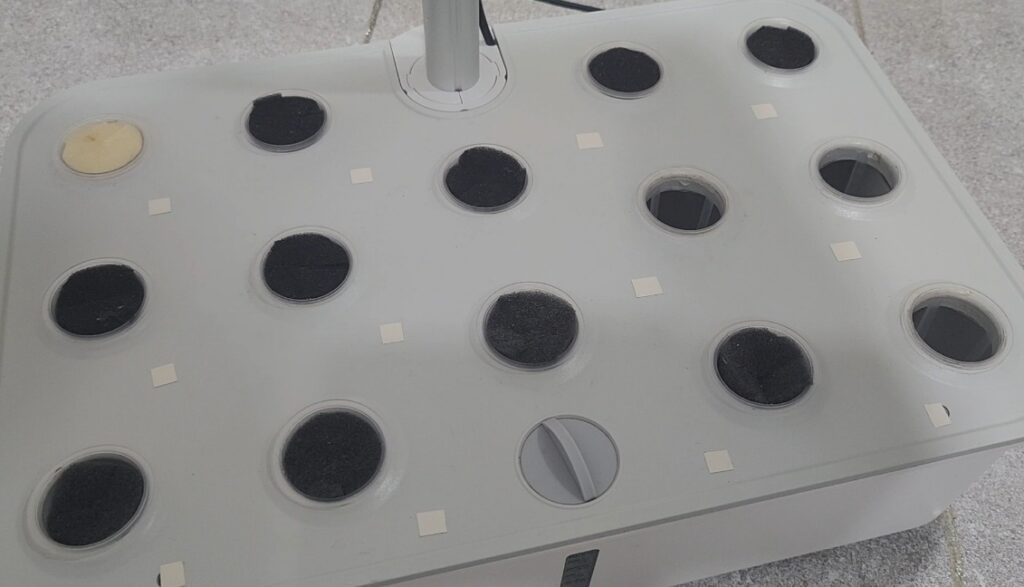 투야 수경재배기의 녹조 발생 방지를 위해 테이프로 구멍을 막은 모습